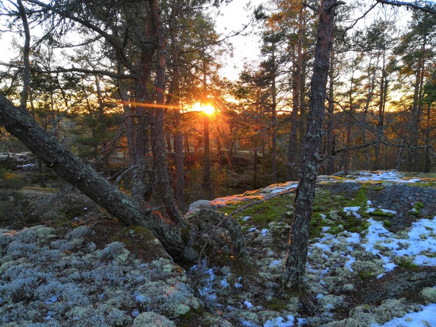 Stockholm: Nature Hike with Campfire Lunch - Who should book this winter outing?