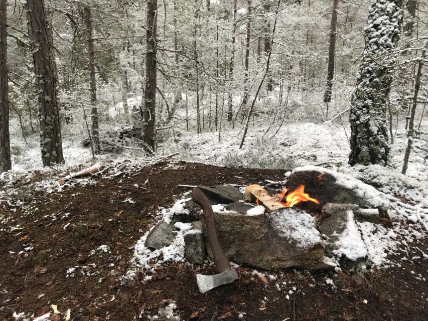 Stockholm: Nature Hike with Campfire Lunch - Should you book Stockholm: Nature Hike with Campfire Lunch?
