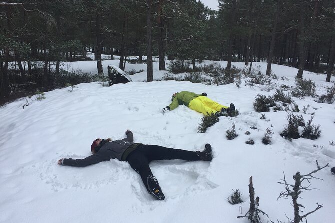 Stockholm: Nature Reserve Hiking Tour with Campfire Lunch - Key points to know before booking