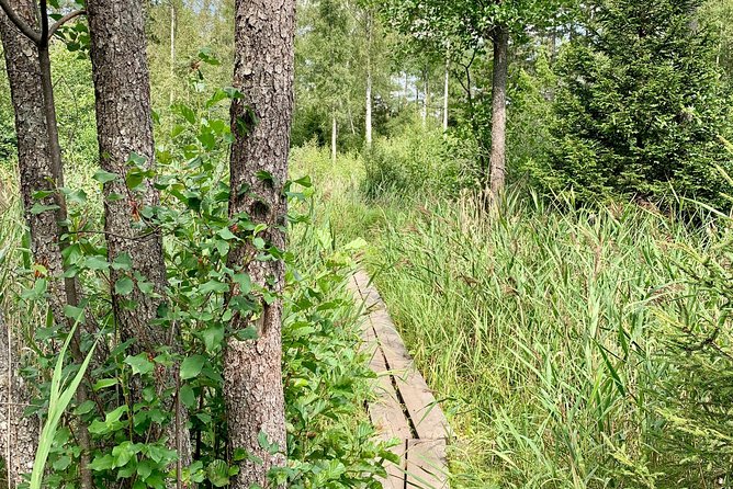 Stockholm: Nature Reserve Hiking Tour with Campfire Lunch - What the seasons change