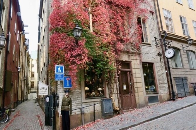Stockholm Private Group Walking Tour | 3 Hours - Who will get the most from this walk