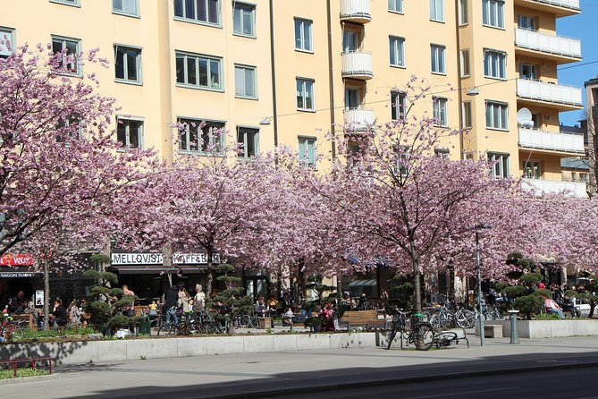 Stockholm Private Tour with a Local: Hip & Bohemian Sodermalm 3hr - Stories, buildings, and the wider Swedish picture