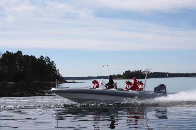 Stockholm RIB Speed Boat Tour - Waldemarsudde and the turn toward Djurgården