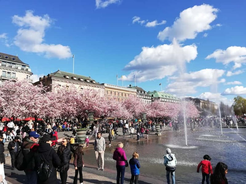 Stockholm: Scandinavian Architecture & Design Ostermalm Tour - Key points at a glance