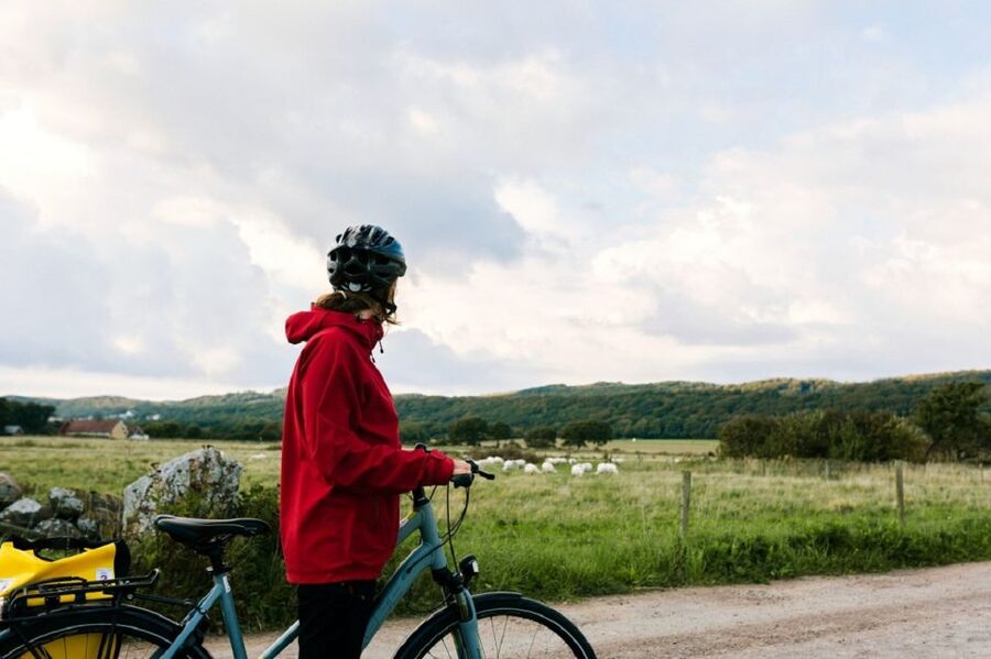 Stockholm: Self Guided GPS Bike Tour - Who will enjoy this most