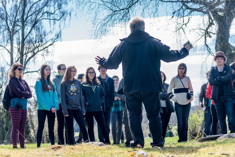 Stockholm: Sigtuna and Uppsala Viking History Day Tour - The pace, transport, and group experience