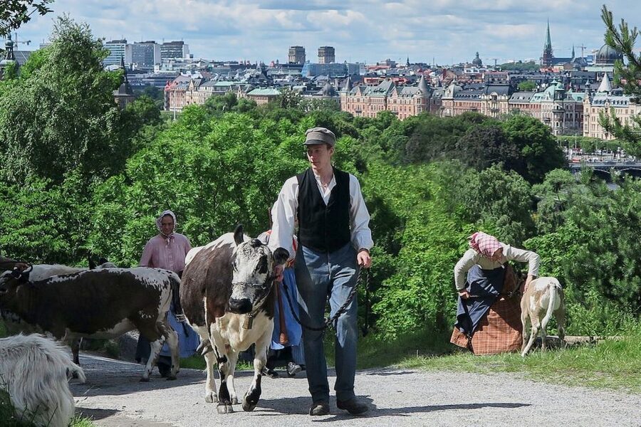 Stockholm: Skansen Open-Air Museum Admission Ticket - Why Skansen feels like more than a museum