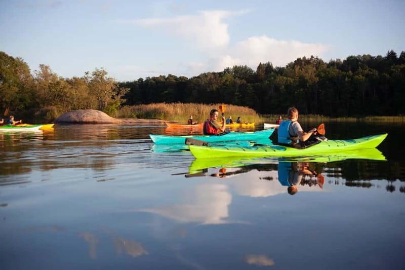Stockholm: Sunset Archipelago Kayaking & Toast on the Water - Wildlife watching from a kayak