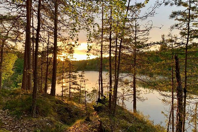 Stockholm: Sunset Hike in Tyresta National Park with Meal - From Gullmarsplan to Tyresta’s old forest