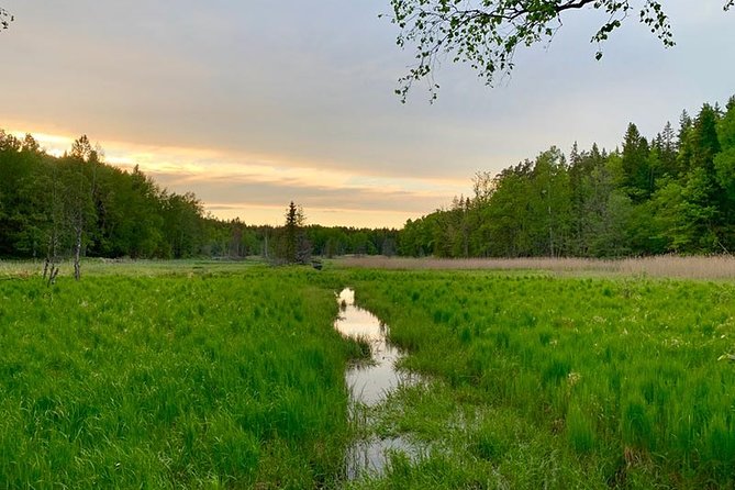 Stockholm: Sunset Hike in Tyresta National Park with Meal - Granite cliffs, lakes, and mixed ground