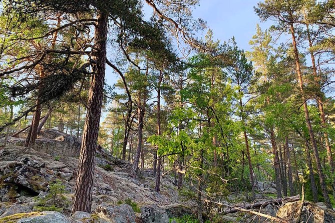 Stockholm: Sunset Hike in Tyresta National Park with Meal - Practical preparation for Tyresta