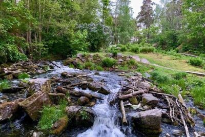 Stockholm: Sunset Hike in Tyresta National Park with Meal