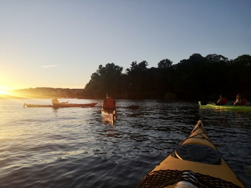 Stockholm: Sunset Kayak Tour in the City + Swedish Fika - What the $149 price really covers