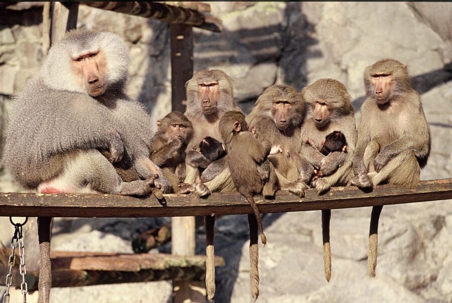 Stockholm: The Skansen Aquarium Entry Ticket - Is the $18 price good value?
