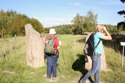 Stockholm Viking History Full Day Tour to Sigtuna + Uppsala