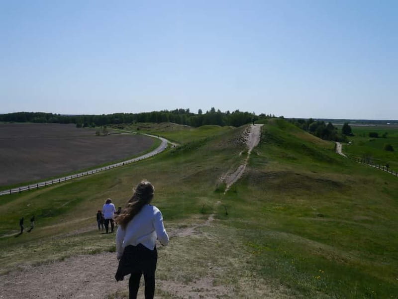 Stockholm Viking History Full Day Tour to Sigtuna + Uppsala - Uppsala city and its enormous cathedral