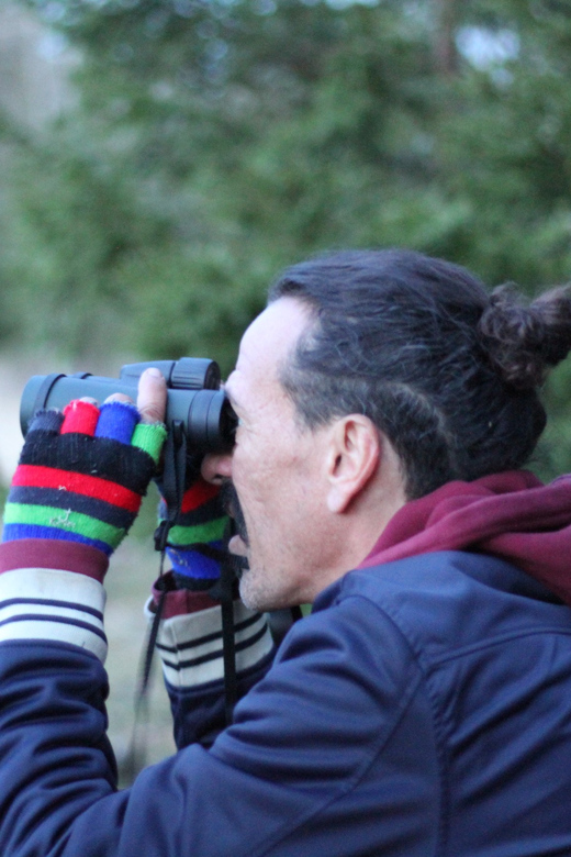 Stockholm: Wildlife Safari - Sunset, darkness, and the large torch