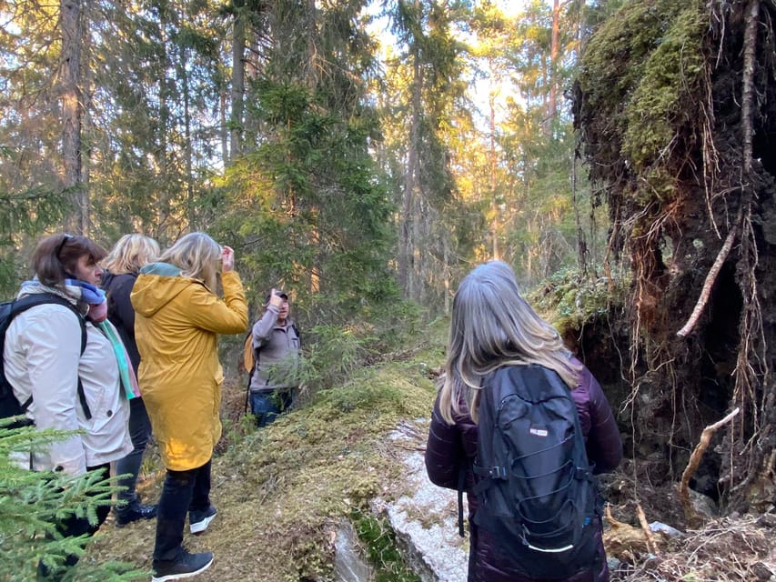 Stockholm: Wildlife Safari - Who will enjoy this safari most