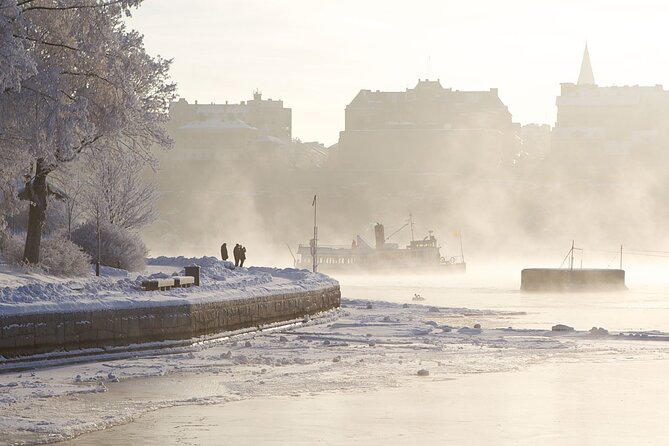 Stockholm Winter Boat Tour with Guide - Key points to know before you book