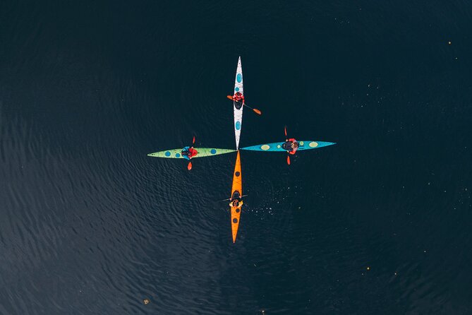 Stockholm: Winter Kayaking, Swedish Fika and hot Sauna Experience - Why winter kayaking changes Stockholm