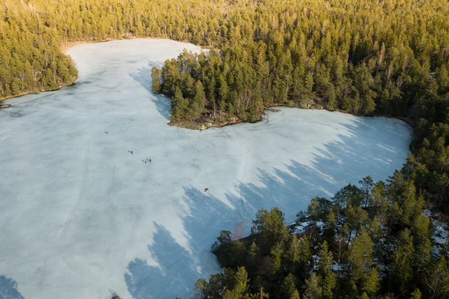 Stockholm: Winter Snowshoe Full-Day Hike - Key points at a glance