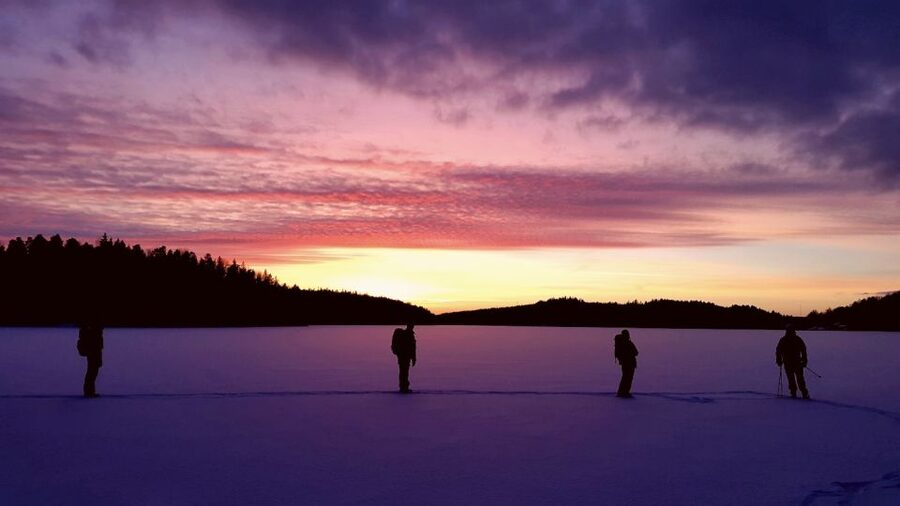 Stockholm: Winter Snowshoe Full-Day Hike - Weather, snow, and the honest trade-off