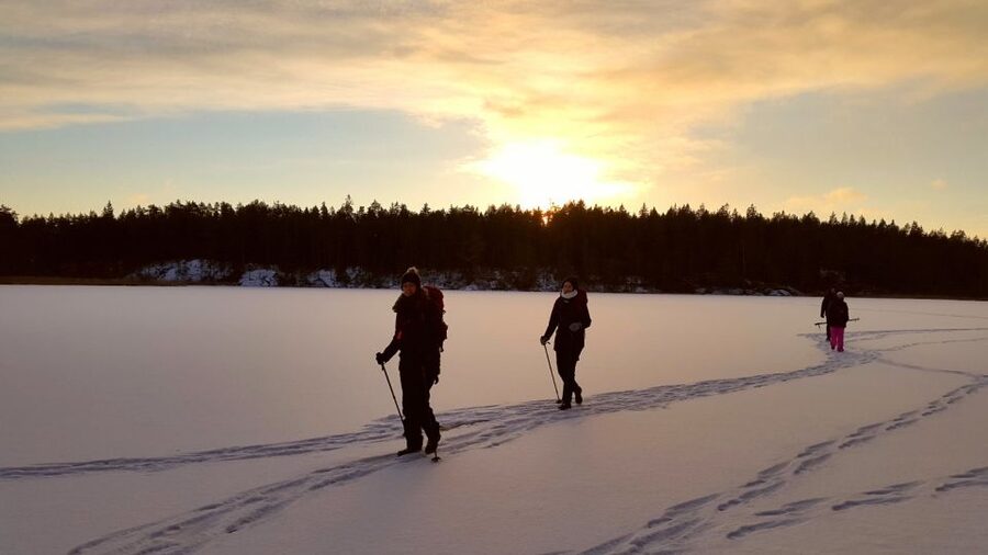 Stockholm: Winter Snowshoe Full-Day Hike - From Stockholm streets to a winter forest
