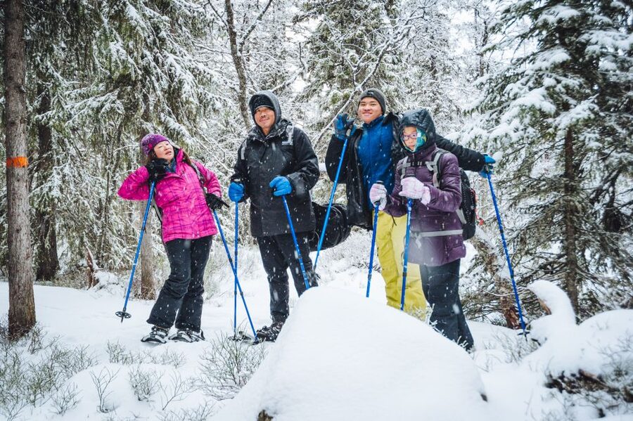 Stockholm: Winter Snowshoe Full-Day Hike - Forest trails, deer tracks, and Swedish ecology