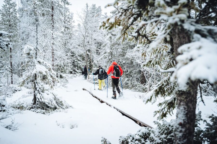 Stockholm: Winter Snowshoe Full-Day Hike - A campfire lunch with real time to pause