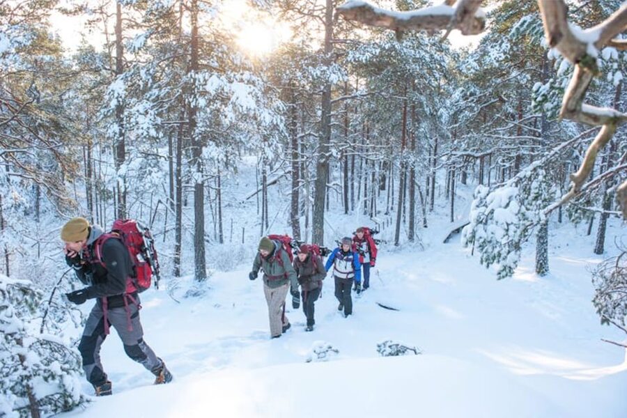 Stockholm: Winter Snowshoe Full-Day Hike - Learning to walk on snow and ice