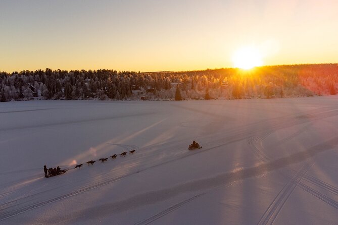Sunrise Zen Husky Tour (10:00 to 13:00 - sitting on the sled) - A husky ride made for sitting back