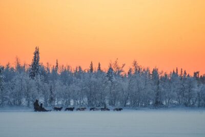 Sunrise Zen Husky Tour (10:00 to 13:00 – sitting on the sled)