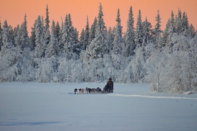 Sunrise Zen Husky Tour (10:00 to 13:00 - sitting on the sled) - Why a seated sled changes the experience