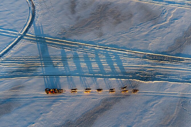Sunrise Zen Husky Tour (10:00 to 13:00 - sitting on the sled) - The guides and the small-team feel