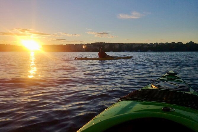 Sunset Kayak Tour in Central Stockholm and Swedish Fika - The fika break beside the water