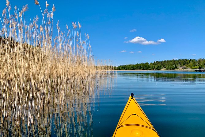 Sunset Kayak Tour in the Stockholm Archipelago + Swedish Fika - Who should book this archipelago outing