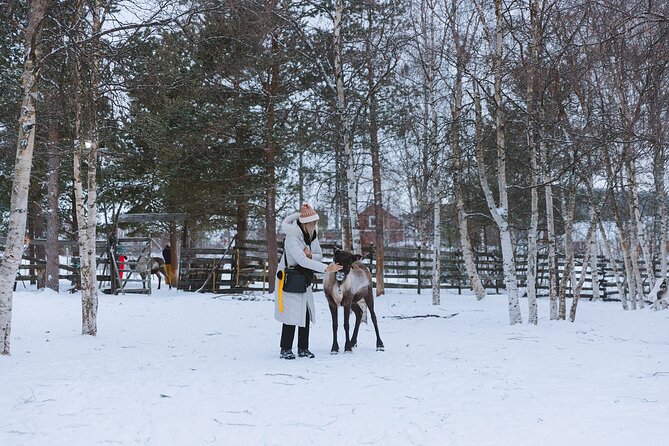 Visit the Sami and Reindeer in a Day Trip from Abisko - Is $169.60 a fair price?