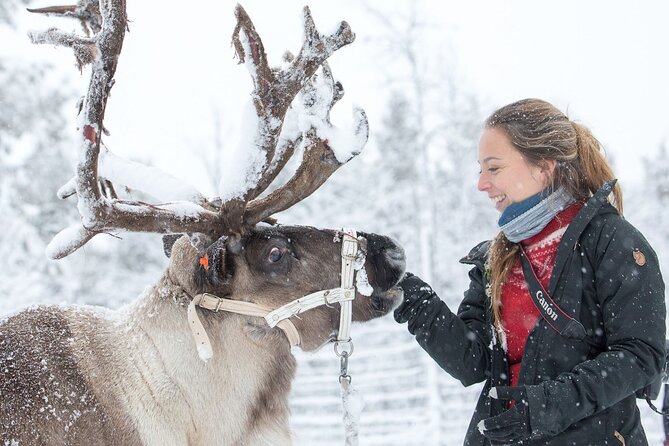 Visit the Sami and Reindeer in a Day Trip from Abisko - A wooden teepee café adds a useful pause
