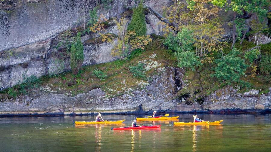 West Sweden: Sea Kayak Delight in Nature Reserves - Birds, quiet water, and the pleasure of going slowly